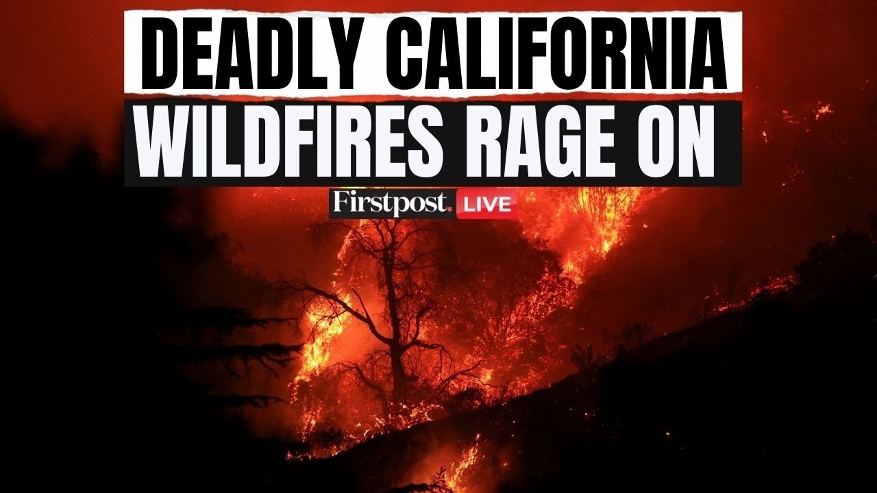 California Wildfires LIVE Updates: Red Alert in Los Angeles, Palisades; More than 15 Dead