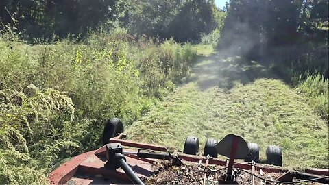 BRUSH HOGGIN' FOR CHILDREN PT-2