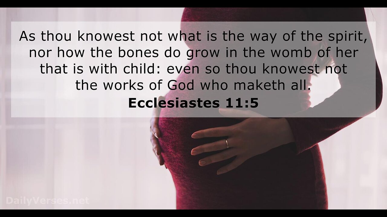 Ecclesiastes 11