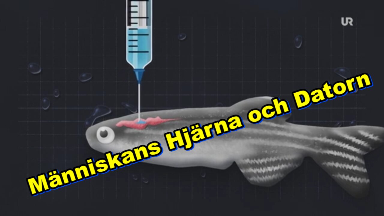 Prof Magnus Berggren: Människans Hjärna och Datorn