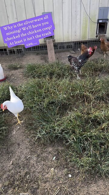 Where did my silverware go?