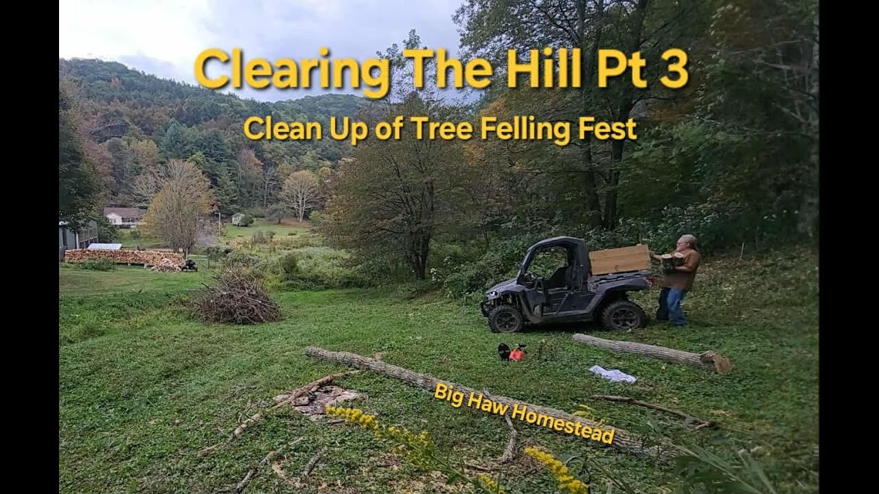 Clearing the Hill part 3