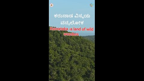 Karnataka -a land of wild wonders