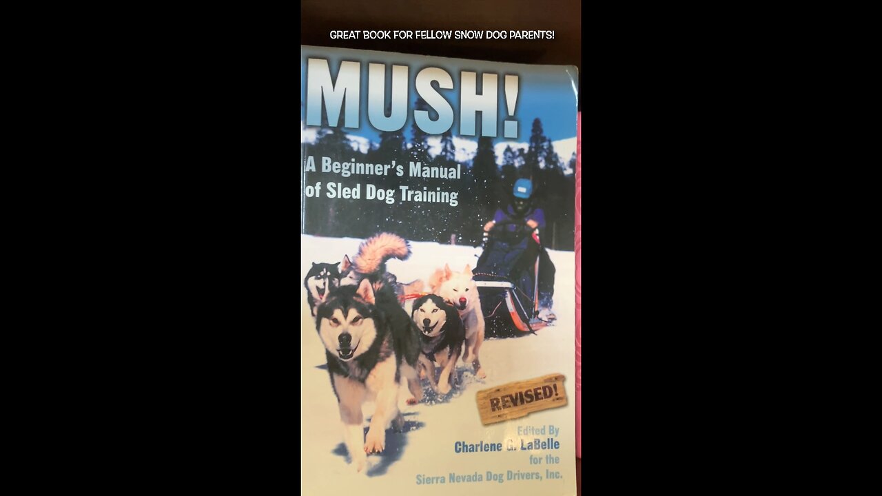 ✨Storybook Saturday✨