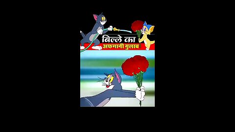 बिल्ले का अफगानी गुलाब 🤣🧐 #reel #funny #viral #cartoon