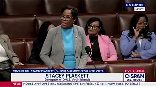 After Her Epstein Texts Are Exposed Stacey Plaskett Pleads Innocent
