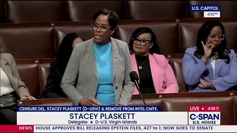 After Her Epstein Texts Are Exposed Stacey Plaskett Pleads Innocent