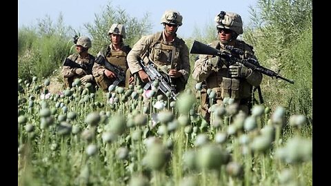 Did the U.S. harvest Opium in Afghanistan