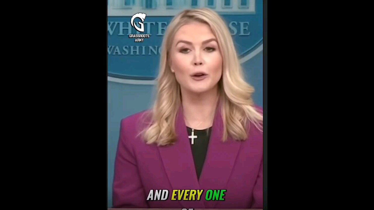 Karoline Leavitt New Press Secretary giving a straight answer about egg prices sanity is back