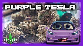 PURPLE TESLA X BERRY TERPS | JK DISTRO