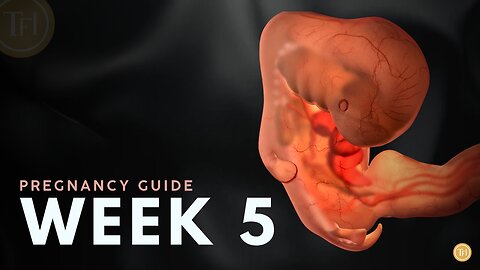 What to Expect at Week 5 | Week by Week Pregnancy Guide