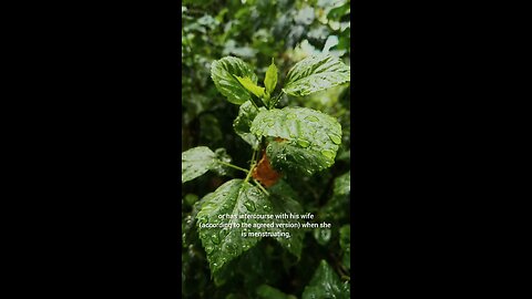 short story from the life of Prophet Muhammad ﷺ🕋☪️🕌