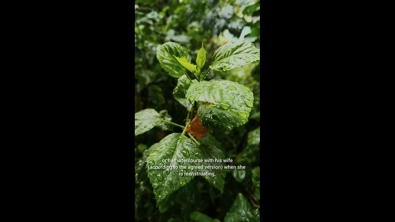 short story from the life of Prophet Muhammad ﷺ🕋☪️🕌