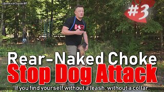 Professional recommend Rear-naked Choke to stop dog attack