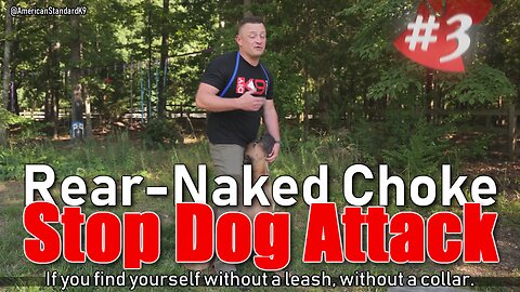 Professional recommend Rear-naked Choke to stop dog attack