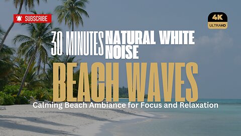 30 Minutes of Tranquil Beach Sounds for Sleep and Study