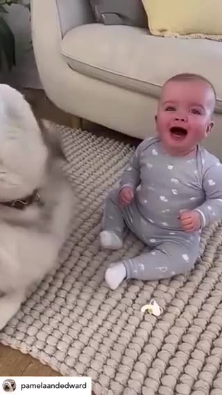 Absolutely the most precious thing I've EVER seen!