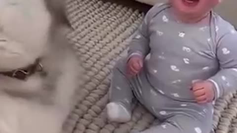 Absolutely the most precious thing I've EVER seen!