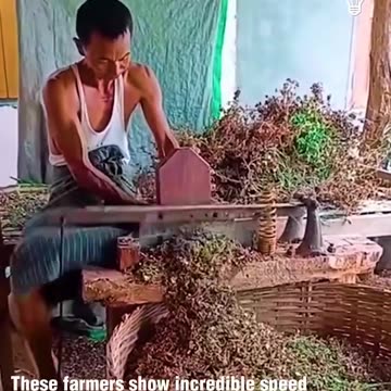 Farming isn't as easy as you'd think!.hd