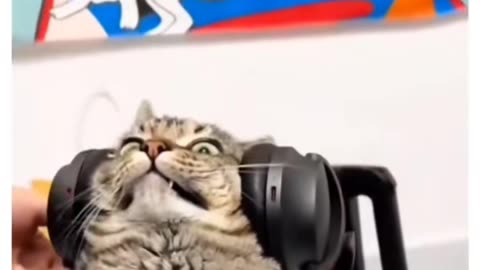 Laugh Till You Cry: Hilarious Everyday Moments