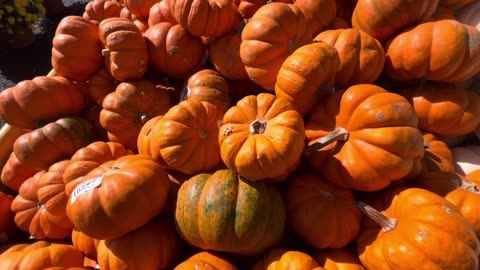 How to Name Pumpkins