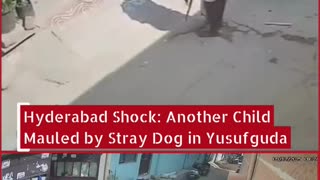 Hyderabad Shock: Another Child Mauled by Stray Dog in Yusufguda