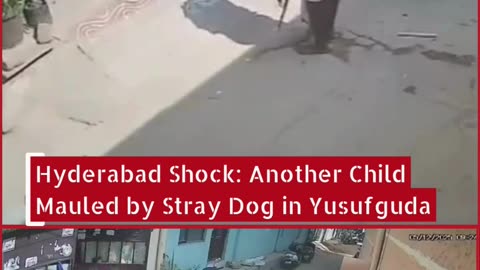 Hyderabad Shock: Another Child Mauled by Stray Dog in Yusufguda