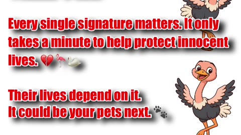 🚨🖊️ CALL TO ACTION 🖊️🚨Save The Ostriches 👇