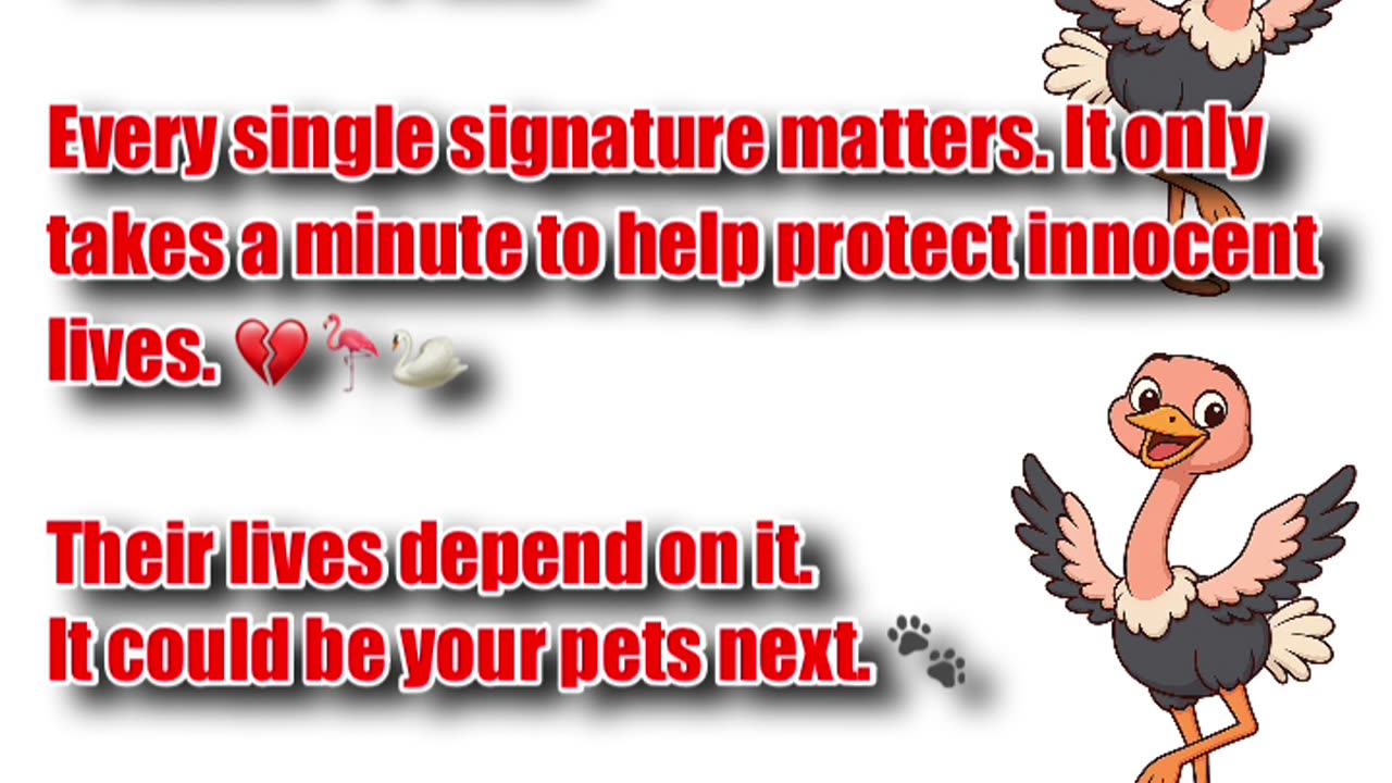 🚨🖊️ CALL TO ACTION 🖊️🚨Save The Ostriches 👇