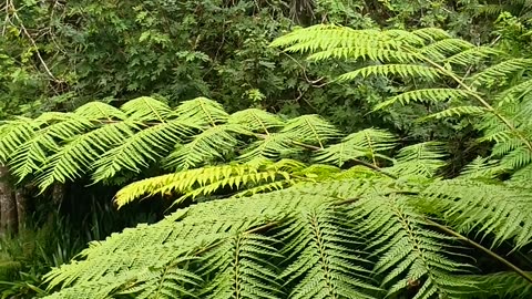 18.9.2025 Our Backyard