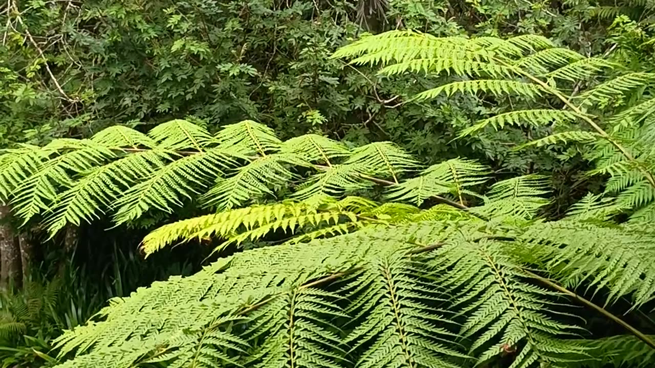 18.9.2025 Our Backyard