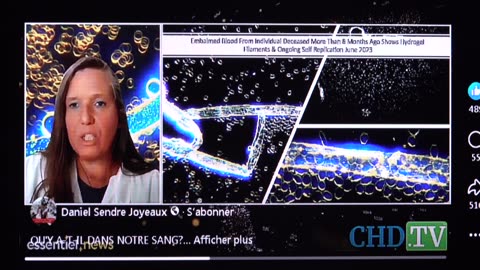 R.P.V. Video Reporter