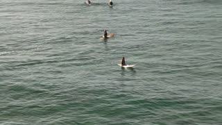 Unnamed Female at the Ala Wai 2025-09-06 Sat 2-4'