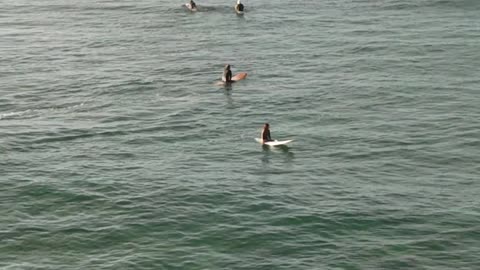 Unnamed Female at the Ala Wai 2025-09-06 Sat 2-4'