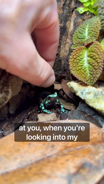 You Never Know Who’s Staring Back At You 👀