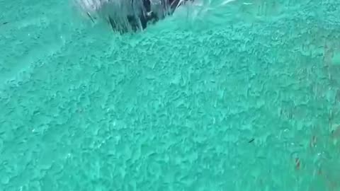 Beautiful travel boat sea water ice nature video 2025 skc.com 8