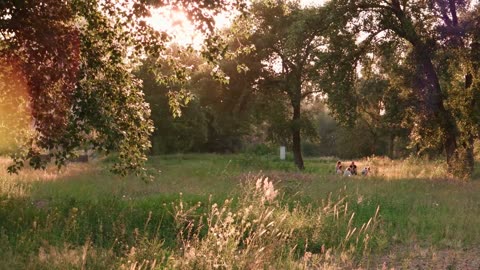 Where Jesus is King - Kingdom of God Blog Intro