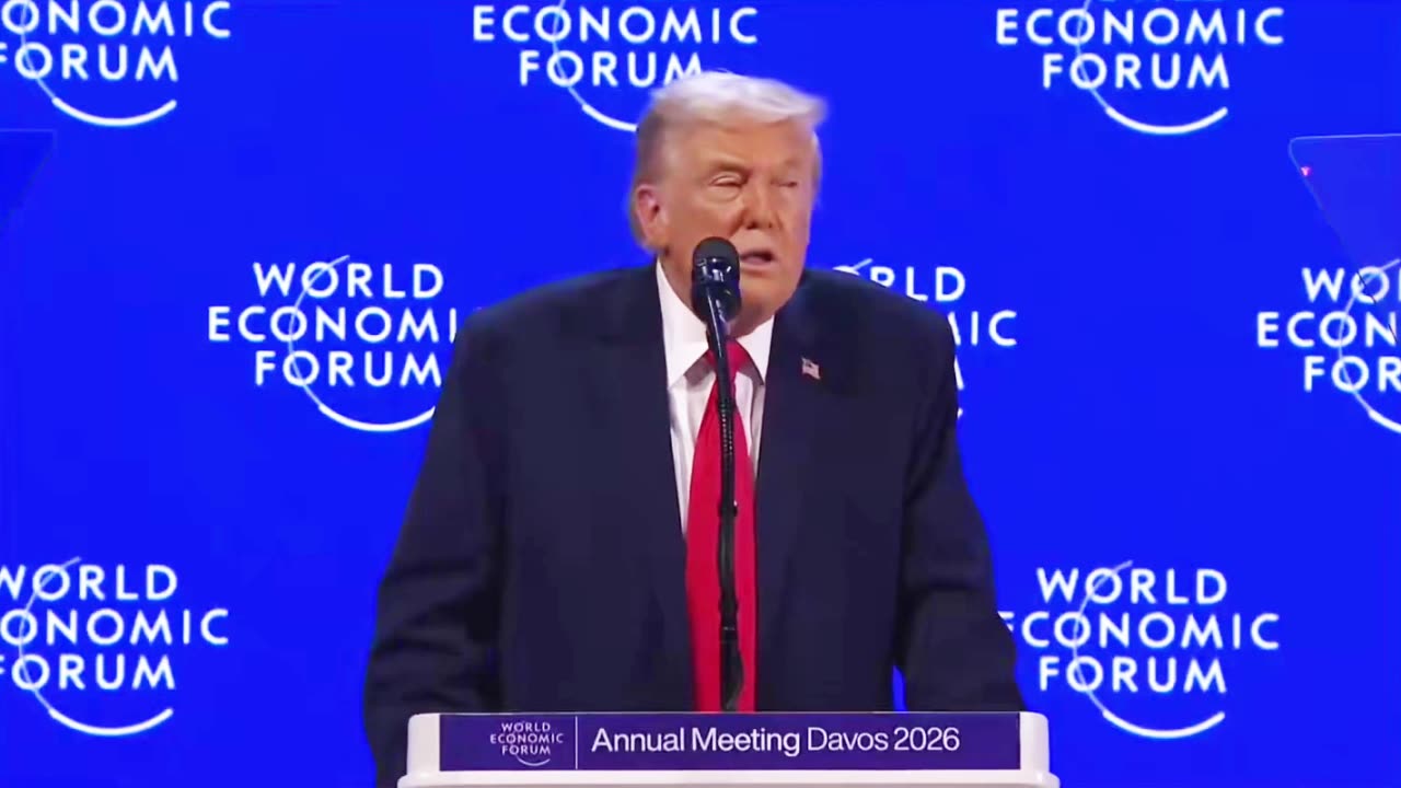 THEY DON'T STAND A CHANCE!!!😆🤣🤣🤣