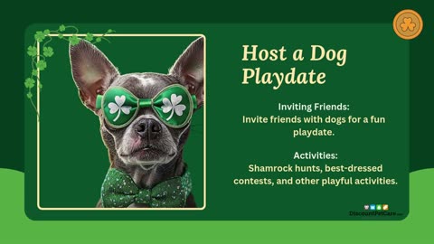 Green Paws: St. Patrick's Day Adventures with Dogs