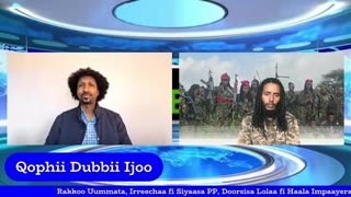 Kutaa 2ffaa Qophii Dubbii Ijoo ONM-ABO Onkoloolessa 4-2025 itti dhiyaadhaa!