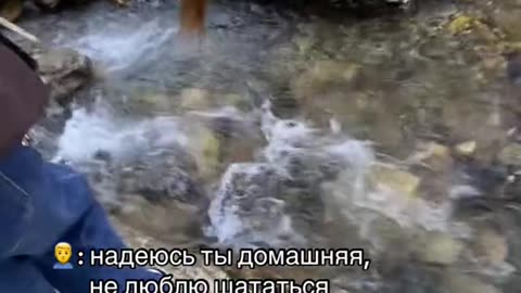 Epic Stream Fail! My Friend Tried to Jump Over a Creek... and Failed Miserably 😂