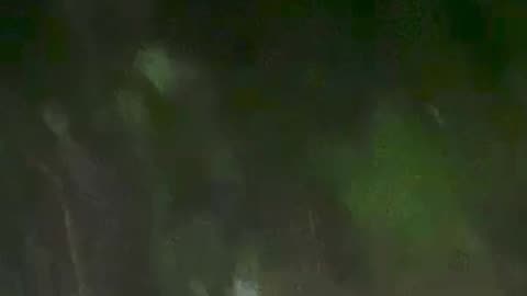🧟‍♂️🌲 Potential Skinwalker Caught on Camera – Watch Till the End | TheHauntingHour