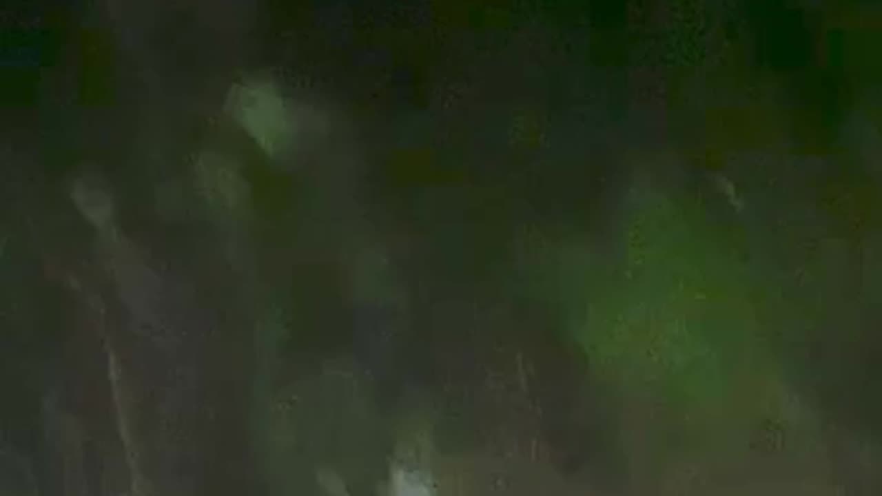 🧟‍♂️🌲 Potential Skinwalker Caught on Camera – Watch Till the End | TheHauntingHour