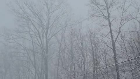 Blizzard over northeast Ohio.