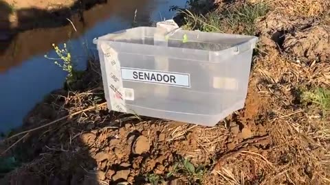 53. Chile - encuentran una urna que robaron para cambiar los votos de la primera vuelta