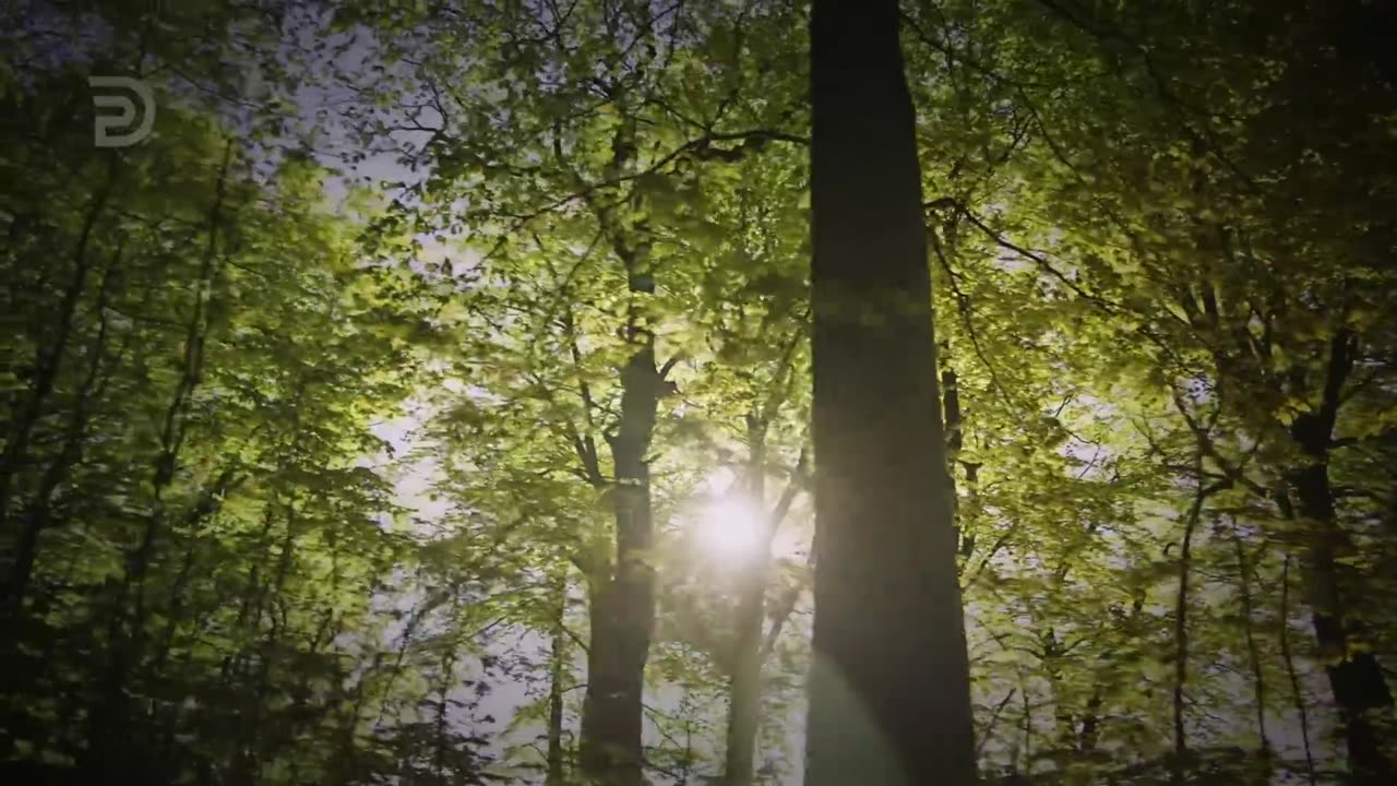 Spiritual Diseases of the Tongue | Derek Prince