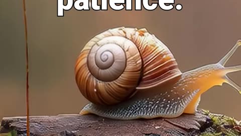 Each drop teaches me patience #sleep #meditationaid #anxiety #relaxing #meditationmusic #babies