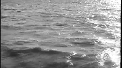 Ford Brazil - Ford Brazil - fc-fc-3074