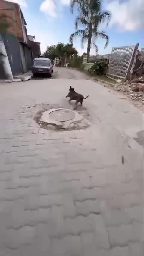 Try Not To Laugh 😅