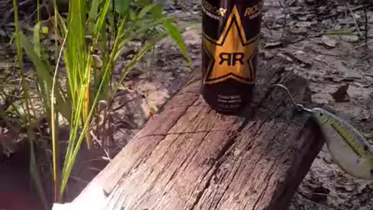 What kind of lunch a Redneck eats